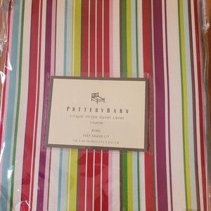 Pottery Barn Cirque Stripe Silk King Duvet Cover